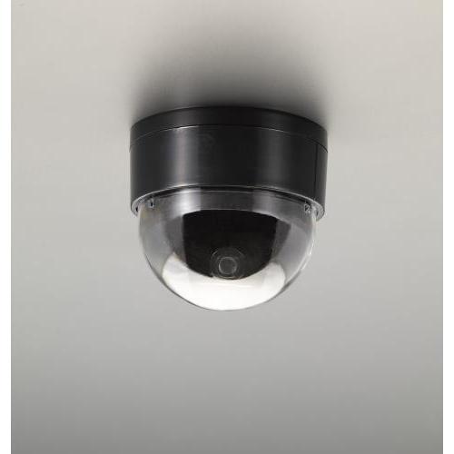エスコ (ESCO)  EA864CD-47 防犯用ダミーカメラ(ドーム形) EA864CD-47 ...