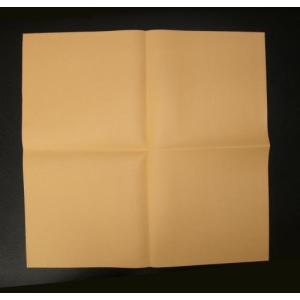 エスコ (ESCO)  EA929DB-90 380x370mm 洗車クロス EA929DB-90｜orangetool