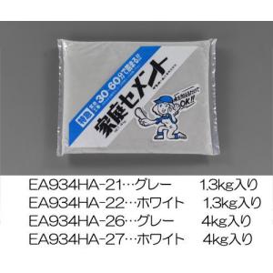 エスコ (ESCO)  EA934HA-22 1.3kg 超急硬セメント(白色) EA934HA-22｜orangetool