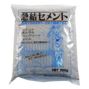 エスコ (ESCO)  EA934KB-12 700g  急結セメント(グレー) EA934KB-12｜orangetool