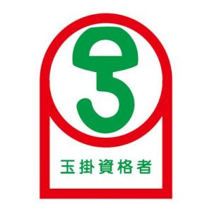 エスコ (ESCO)  EA983AN-25B 35x25mm ヘルメットステッカー(玉掛資格者/10枚) EA983AN-25B｜orangetool