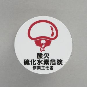 エスコ (ESCO)  φ35mm ヘルメットステッカー(酸欠硫化水素危険〜/2枚 EA983AN-44｜orangetool