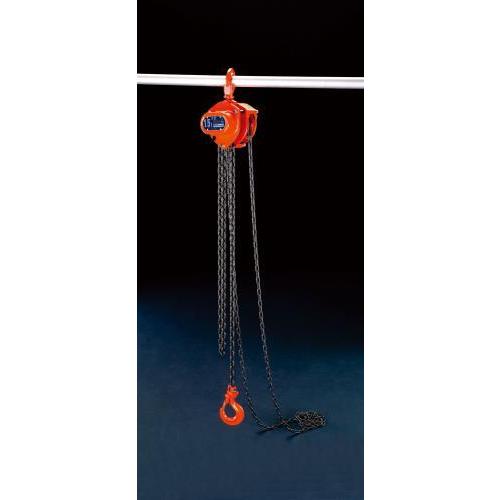 【SALE価格】エスコ (ESCO)  EA987CL-2.5 1.5tonx2.5m チェーンブロ...