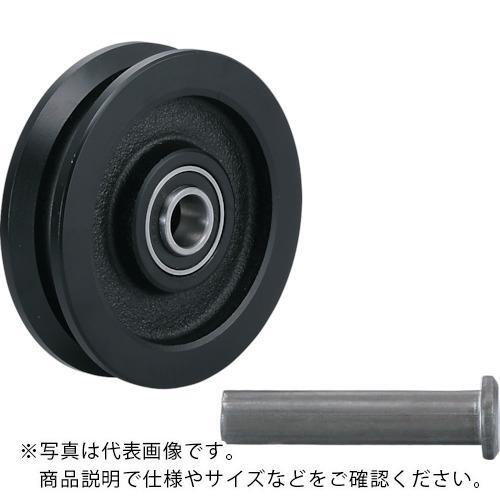 SUGATSUNE (200024800)重量用戸車 ( JC110-200V ) スガツネ工業(株...