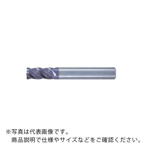 フジコシ GS MILL ラフィング ( GSRE4100SF  (10.0) )