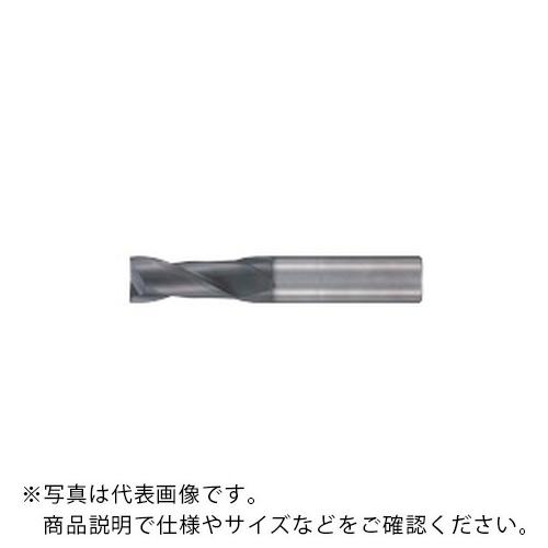 フジコシ GSX ミル2枚刃 2D[GSX2C-2D] ( GSX20100C-2D   (1.0/...