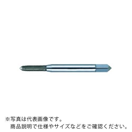 フジコシ タフレット-S ( TFS M2X0.4X4XP )【10本セット】
