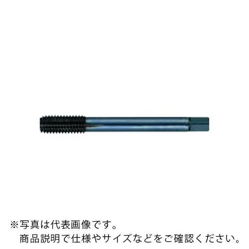 フジコシ タフレット スチール用 ( TFST M3.5X0.6X5XB )【10本セット】