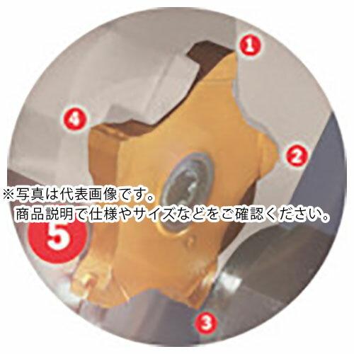 イスカル ペンタカット チップ PENTA 24R/L-J IC1008 ( PENTA 24L15...