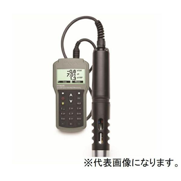 ハンナ HANNA　ポータブル多項目計20mケーブル付　 ( HI 98195/20 )