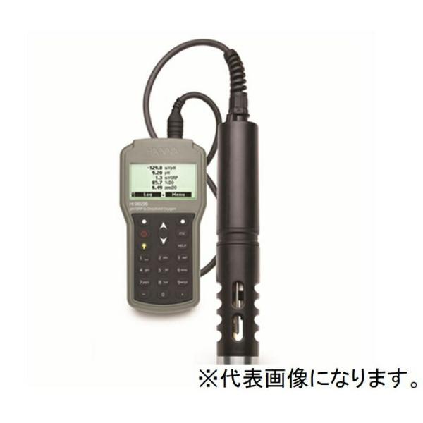 ハンナ HANNA　ポータブル多項目pH/ORP/DO/℃計20mケーブル付　 ( HI 98196...