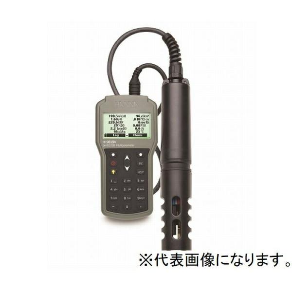 ハンナ HANNA　ポータブル多項目計40mケーブル付　 ( HI 98194/40 )