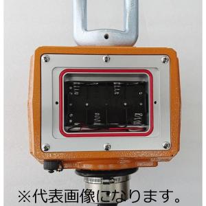 守随本店 検定付/デジタル吊はかり/ハンディコ...の詳細画像1