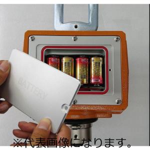 守随本店 検定付/デジタル吊はかり/ハンディコ...の詳細画像2