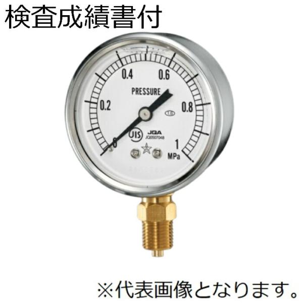 右下精器 グリセリン入り圧力計　検査成績書付き ( G-AUR1/4-60X6MPa(GLT-217...