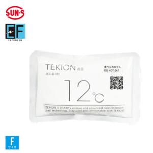 サンエス TEKION 蓄冷材(2個) ( EF99191+ 1:+F )｜orangetool