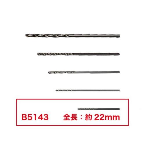 白光　ドリル ノズル0.6MM 10本入り ( B5143 )