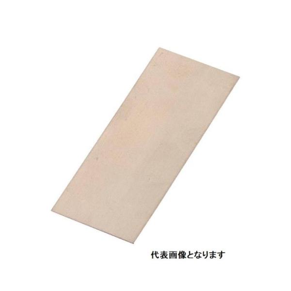 KENIS 実験用金属板 ニッケル板 120mm ターミナル無し ( B-27 )