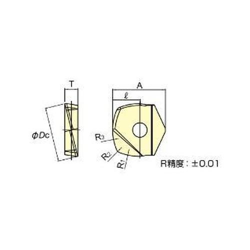 MOLDINO カッタ用インサート ( ZPHW250-LB25 TH308 )  【2セット】