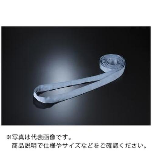 ラウンドスリング SSタイプ HN-W005X1.0 ( SSHN-W005X1.0 )  ( IG...