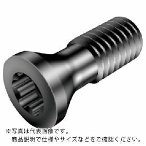 サンドビック チップスクリュー(810) ( 416.1-833 (810) )  ( TDY65 )｜orangetool