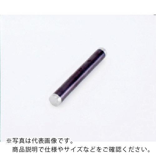 カネテック 耐摩耗サニタリーマグネット棒 長さ393mm ( PCMB-J40A )  ( TBG4...
