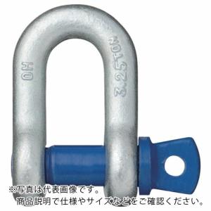 OH 鍛造シャックル 使用荷重1.0t ( SC-10T )  ( P3Q38 )｜orangetool