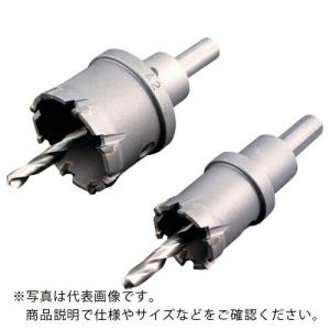 スエカゲ ウイニングボアホルソーφ145 ( WBH-145 )  ( SUH46 )｜orangetool
