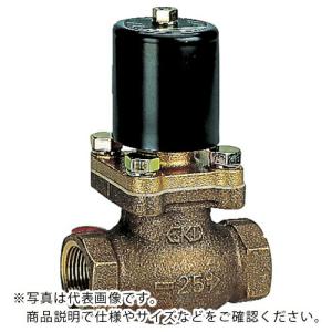 ＣＫＤ　パイロット式２ポート電磁弁　 ( PVS-65A-210-AC100V )  ( NHH08 )｜orangetool