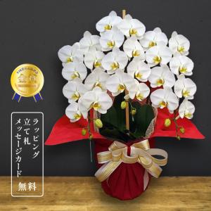 胡蝶蘭 蘭 大輪 キング 3本立ち 30輪以上 花 ギフト 白 お祝い 開店祝い 就任祝い 送料無料