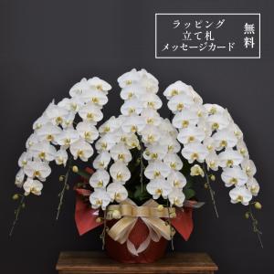 胡蝶蘭 大輪 90輪以上 キングエクセレント 7本立ち【要予約】花 蘭 鉢植え 白 ギフト お祝い 開店祝い 開業祝い 就任祝い 竣工祝い 送料無料