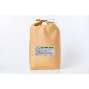 チクゴイズミ 全粒粉（中力粉）　10kg