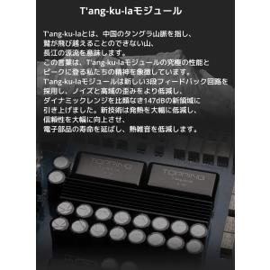 1年保証 TOPPING A70 Pro フル...の詳細画像4