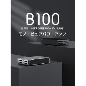 1年保証 TOPPING B100 モノラル ...の詳細画像1