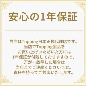 1年保証 TOPPING B100 モノラル ...の詳細画像2