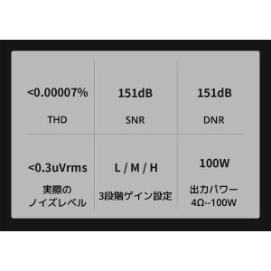 1年保証 TOPPING B100 モノラル ...の詳細画像3