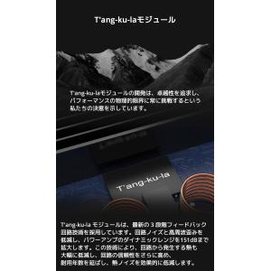 1年保証 TOPPING B100 モノラル ...の詳細画像4