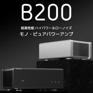 1年保証 TOPPING B200 モノラル ...の詳細画像1