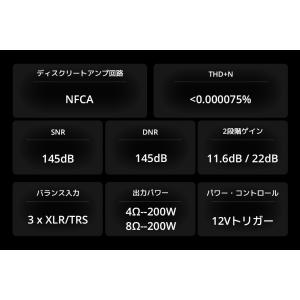 1年保証 TOPPING B200 モノラル ...の詳細画像3