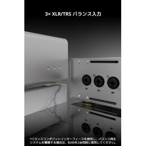1年保証 TOPPING B200 モノラル ...の詳細画像5