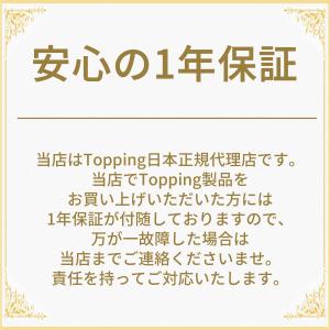 【1年保証】TOPPING トッピング DX1...の詳細画像2