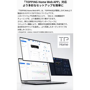 【1年保証】TOPPING トッピング DX1...の詳細画像4