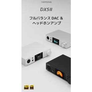 1年保証 Topping トッピング DX5I...の詳細画像1