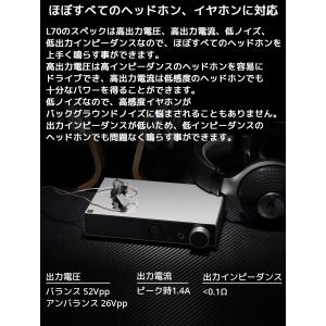 1年保証 TOPPING L70 ヘッドホンア...の詳細画像5