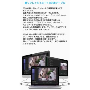 LDLrui USB C to HDMI ケー...の詳細画像2