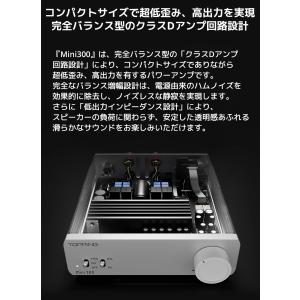 1年保証 TOPPING Mini300 パワ...の詳細画像3