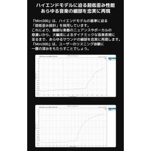 1年保証 TOPPING Mini300 パワ...の詳細画像4