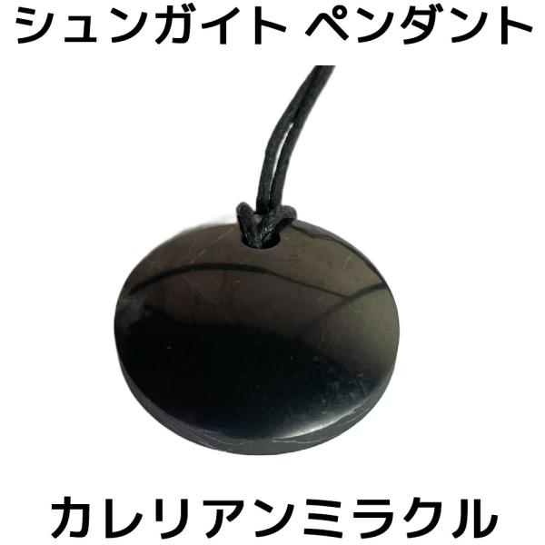 シュンガイト ネックレス カレリアンミラクル PE09 ペンダント 30×30×10mm ロシア カ...