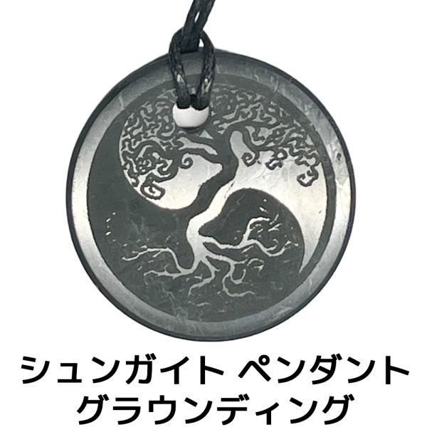 シュンガイト ペンダント  グラウンディング PE145 ネックレス ロシア カレリア共和国産 シュ...