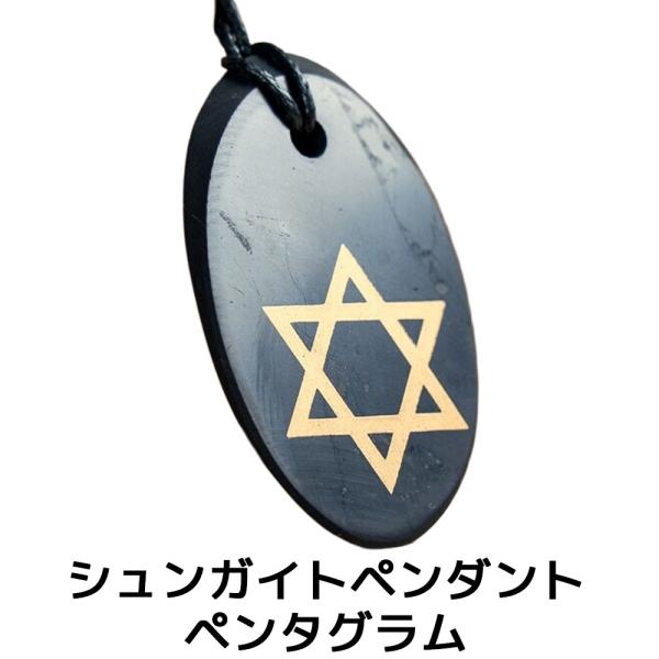 シュンガイト ペンダント ペンタグラム PE180 ネックレス ロシア カレリア共和国産 シュンガ石...